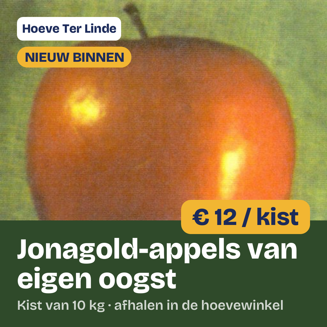 Quadratisch 1:1